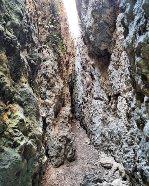 Les Escletxes del Papiol