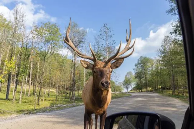 Omega Park
