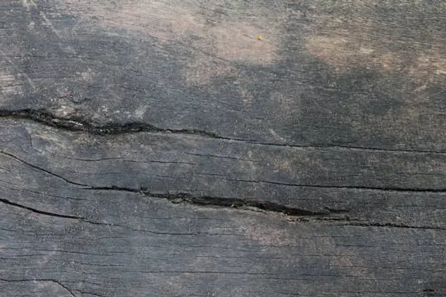 Balneário Termas do Caldas