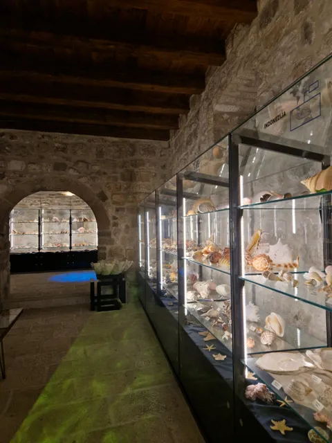 Malacological Museum