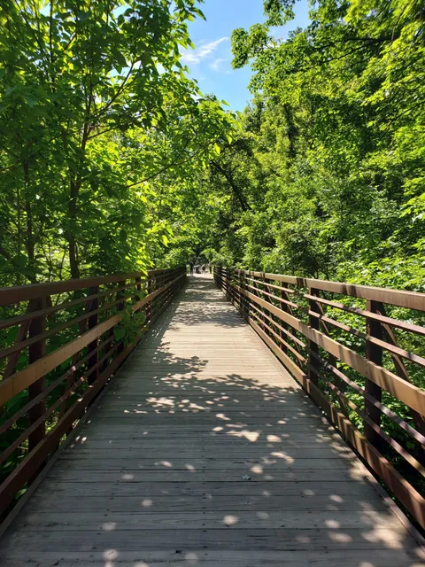 Amherst Beaver Creek Reservation