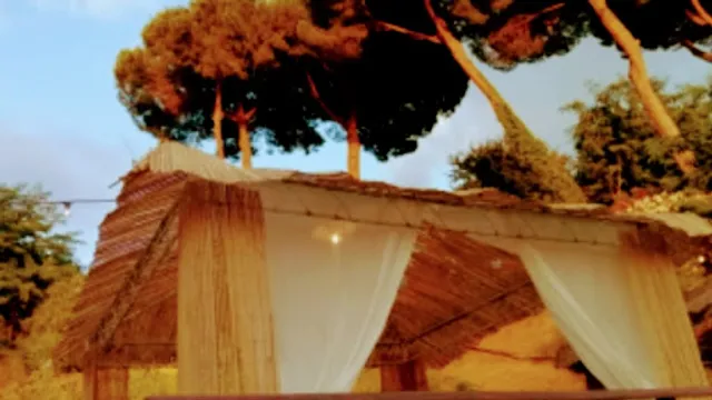 Cantine Basile Ristorante, Vino e Olio e degustazioni panoramiche