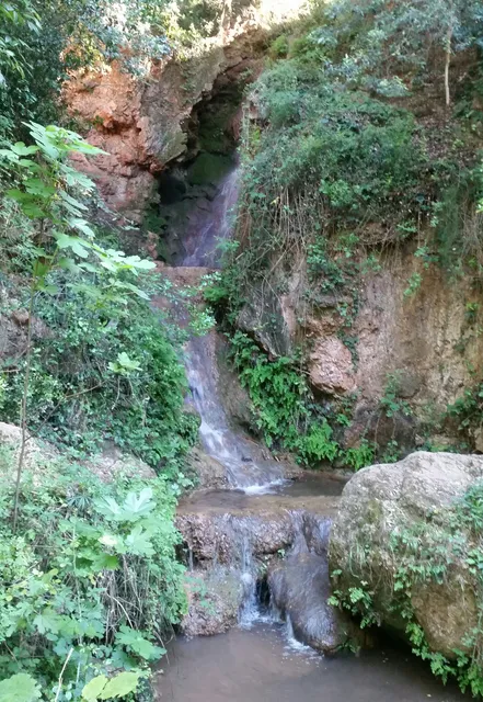 Fuente de las Roviras