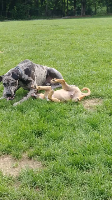 Jefferson County Parks & Rec