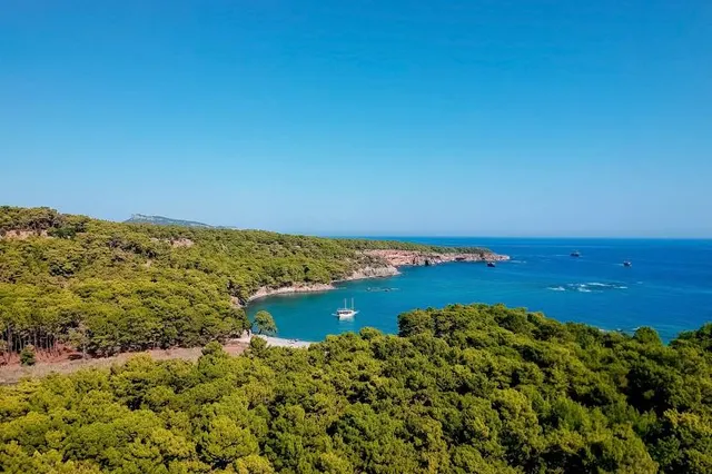 Fazeli Cellars Winery