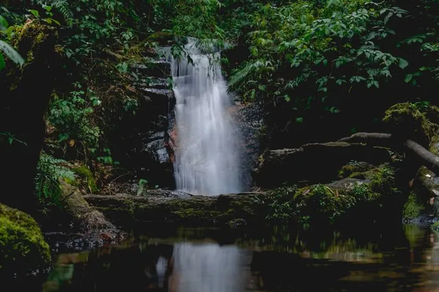 BAJO MONOd CAMPING SITE, BOQUETE