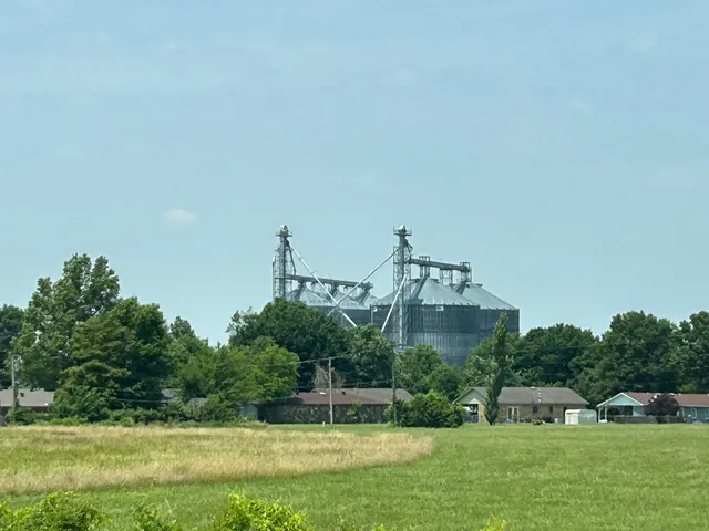 Poinsett Rice & Grain Inc.