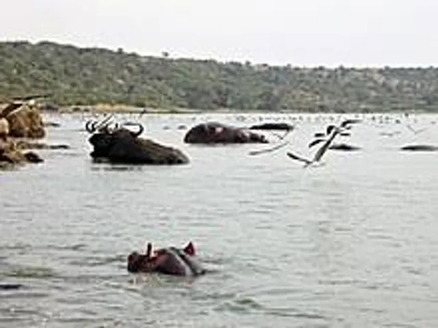 Kazinga Channel