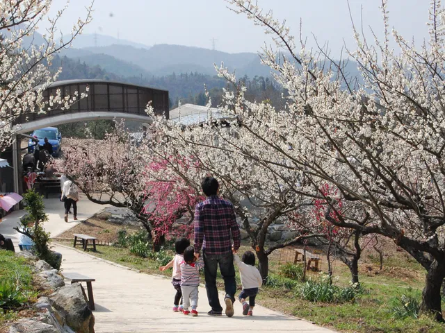ミツシオバイリン
