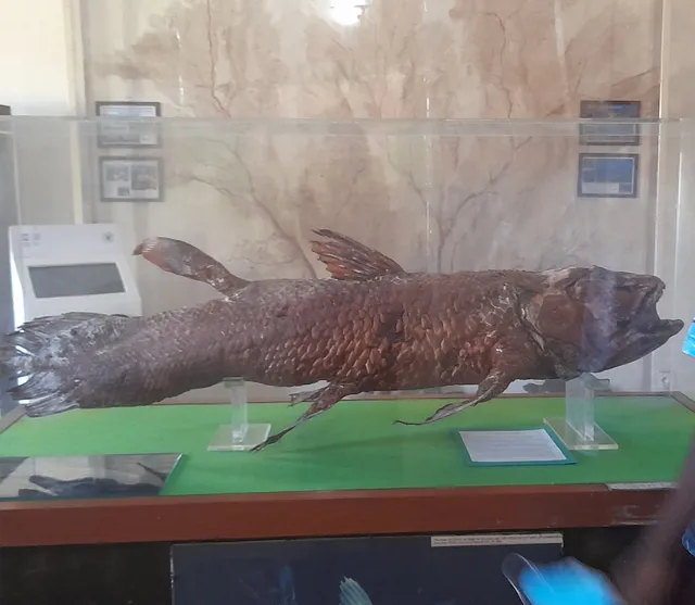 Centre National de Documentation et de Recherche Scientifique