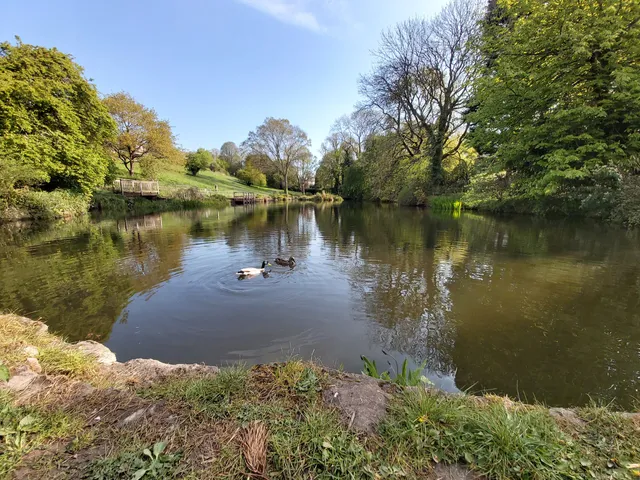 Old Sneed Park Nature Reserve