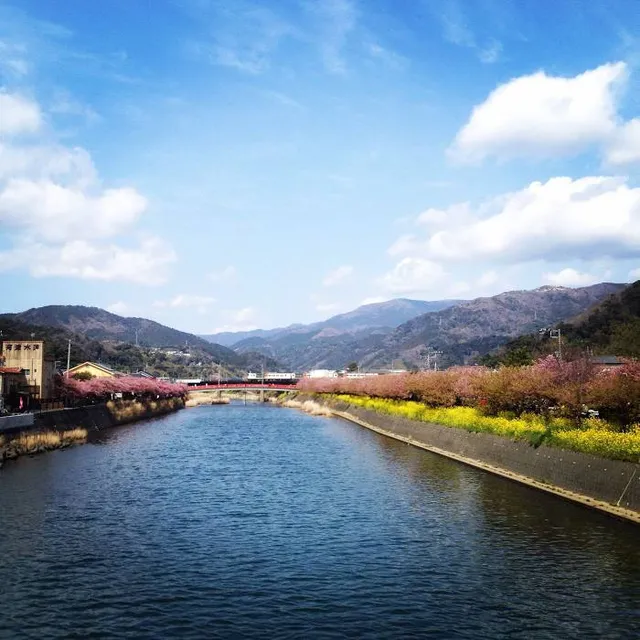 Kawazu River