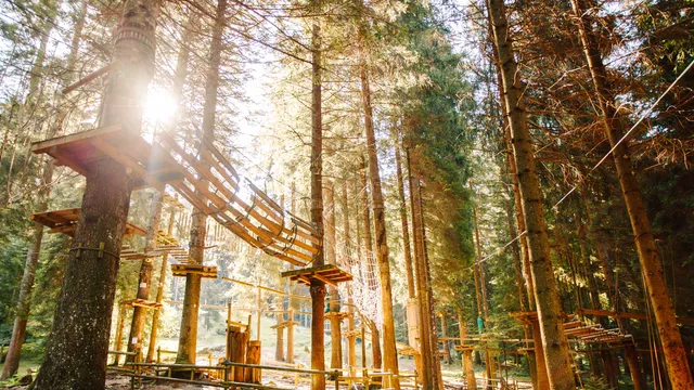 Parco Sospeso nel Bosco