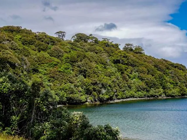 Stewart Island / Rakiura Community