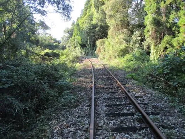RailCycle Mt. Rainier