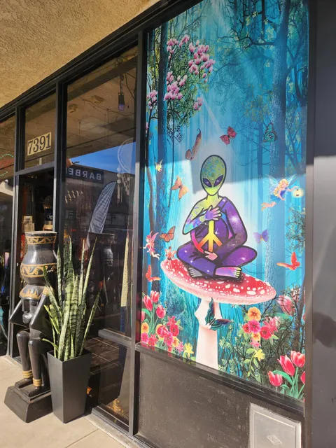 Cocoon Gifts For the Mind