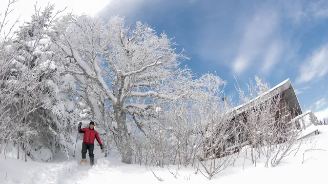 Montagne du Diable Regional Park