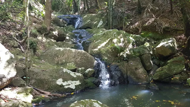 Cascades Waterfall - Waiheke