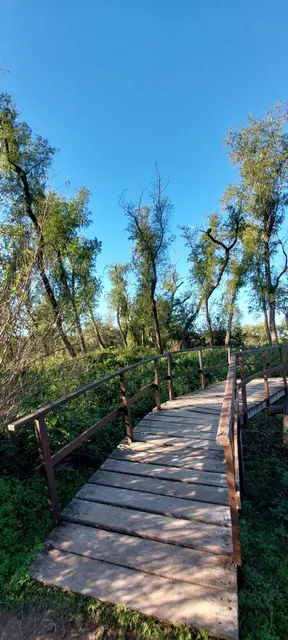 photo-1