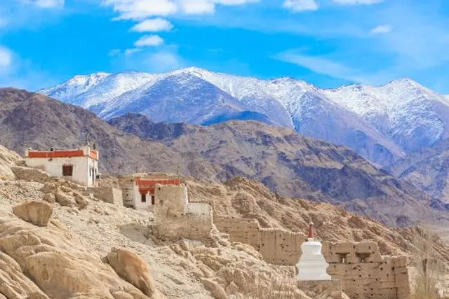 The Corner Grocery Store Shey