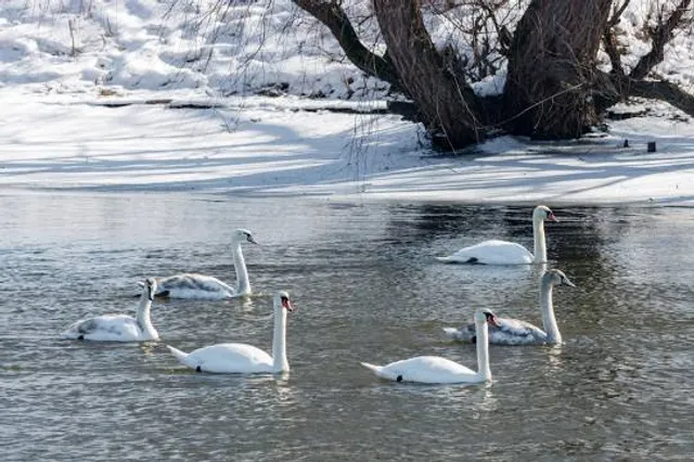 Park V Poyme Reki Gorodni