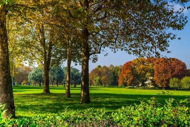 Parco della Pellerina