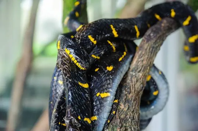 Landkreis Wolfenbüttel