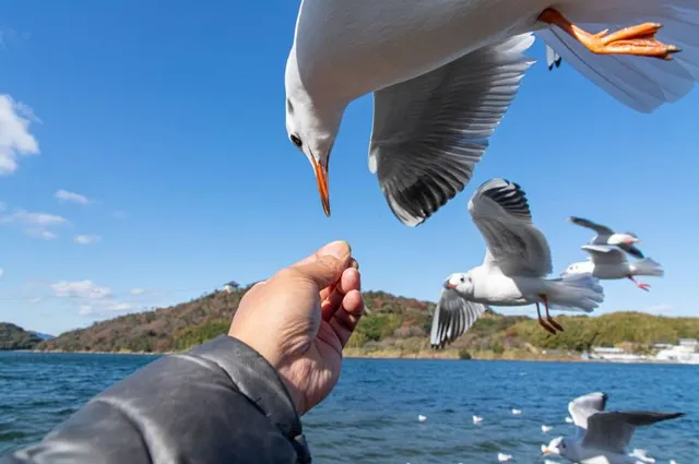 Lake Hamana pleasure boat