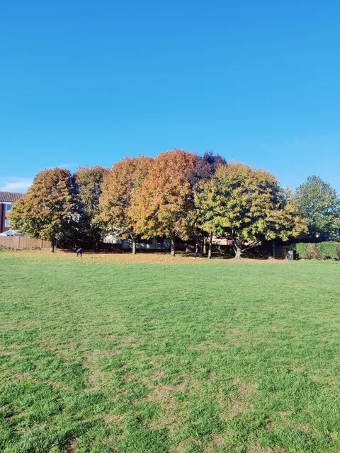 Long Ditton Recreation Ground