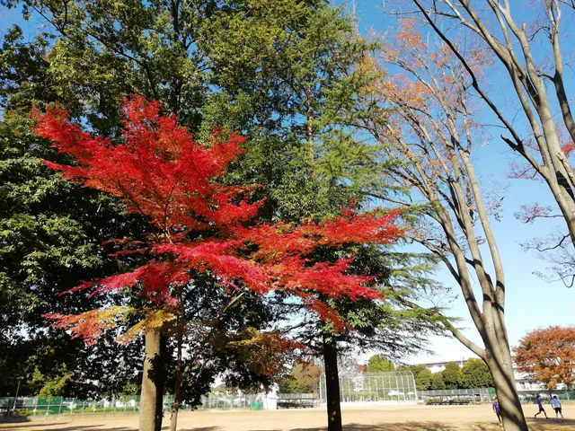 Tsurugashima South Neighborhood Park