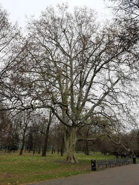 Park im. Dzieci Wrzesińskich
