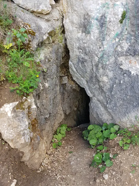 Jaskinia W Kielnikach