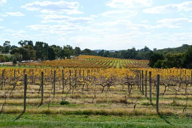 Clare Valley
