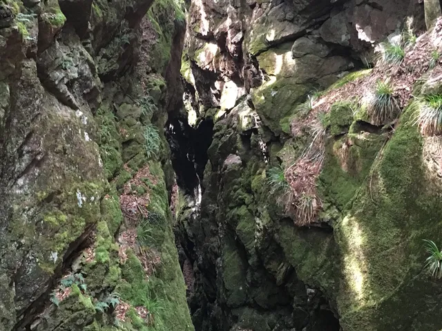 Big-Crevice Mini-Crevice Geo Spot