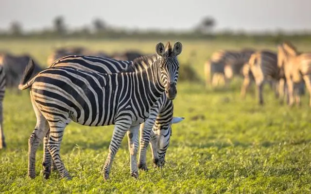 Machangulo Nature Reserve