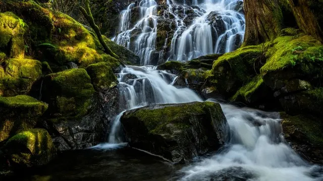Sooke Potholes Provincial Park