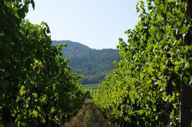 Mae Na Ruea Subdistrict