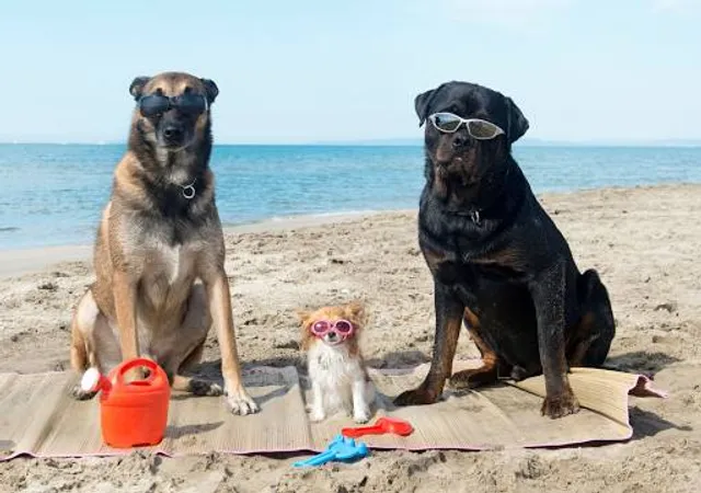 Pacifica Esplanade Beach