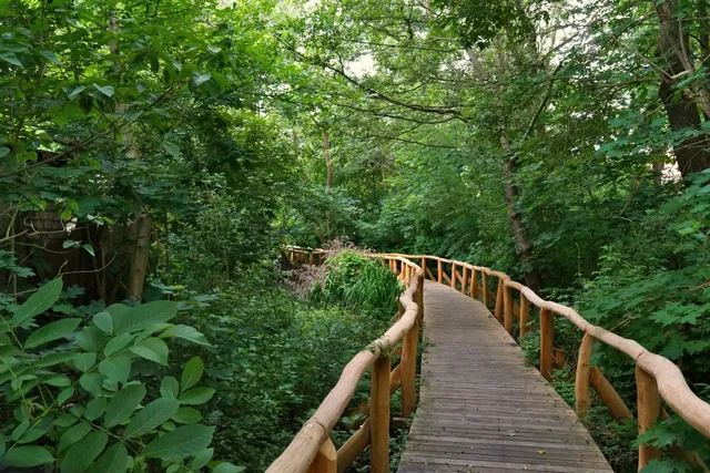 photo-1