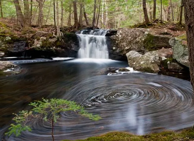 Pulpit Rock Conservation Area