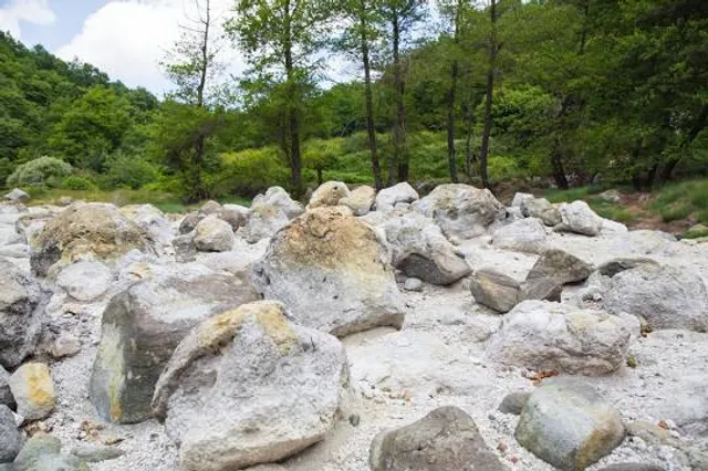 Bushi Village Adventures