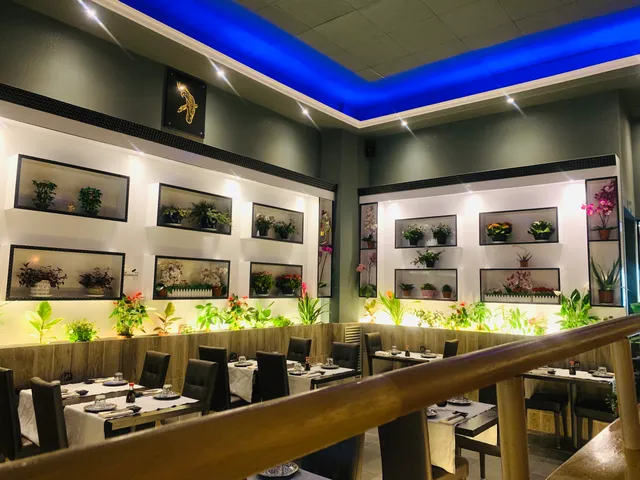 Ristorante Sushi Umi