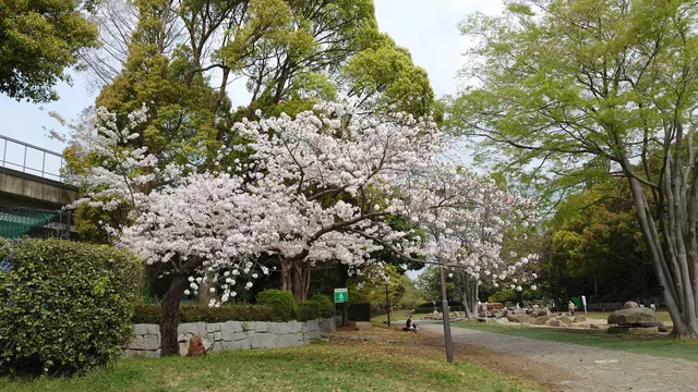 Hiratsuka City General Park