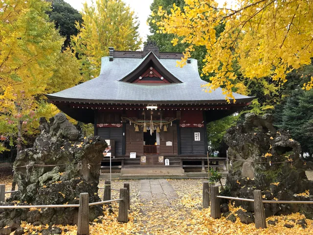 place image