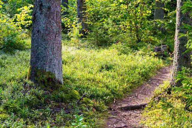 Villa Strobele - Arte Sella