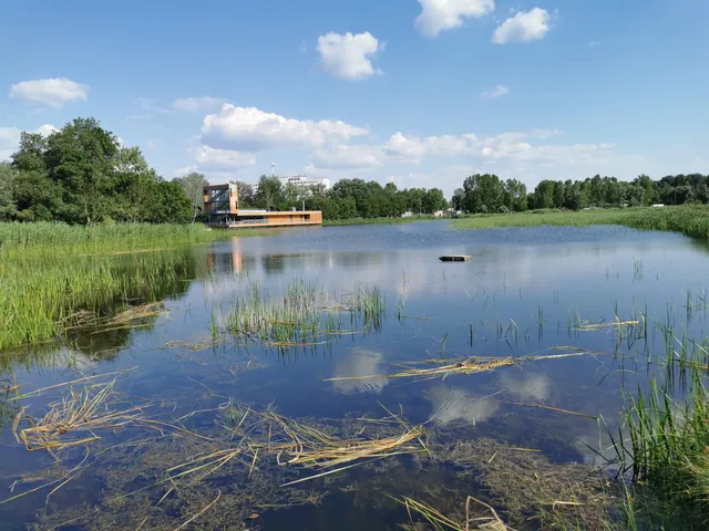 Csetényi park játszótér