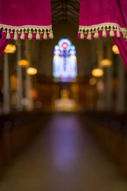 The Basilica of St. Patrick's Old Cathedral