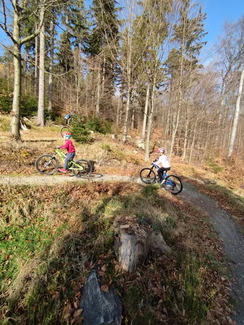 Singletrack Glacensis - Pętla Jagodna