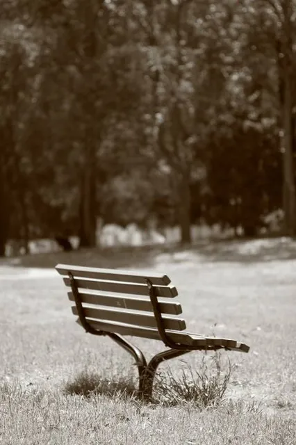 Lane Cove Municipal Council