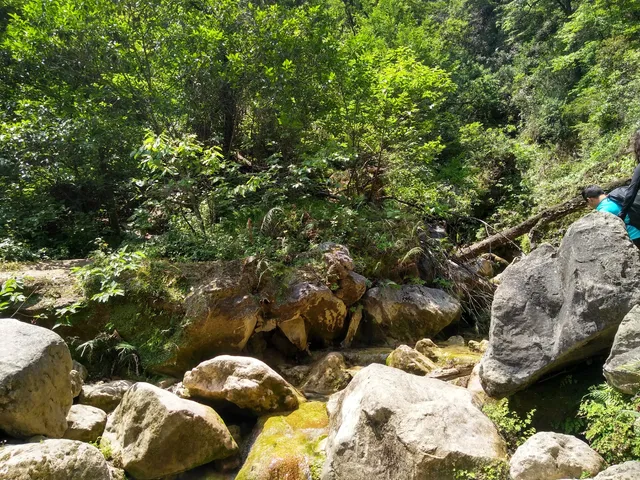 photo-1